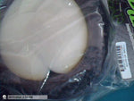 NOS Panther Offroad 1/8 Truck Tyres Pair W/Inserts Medium Soft MT Gator T147MS